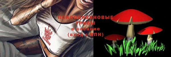 дживик Заволжье