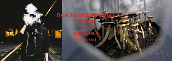 mdma Заволжск