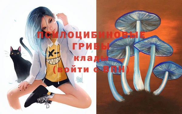 герыч Заводоуковск
