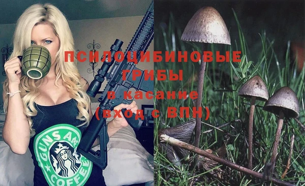 дживик Заволжье