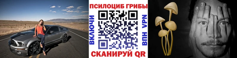 Галлюциногенные грибы MAGIC MUSHROOMS  Купить закладки  Кудрово 